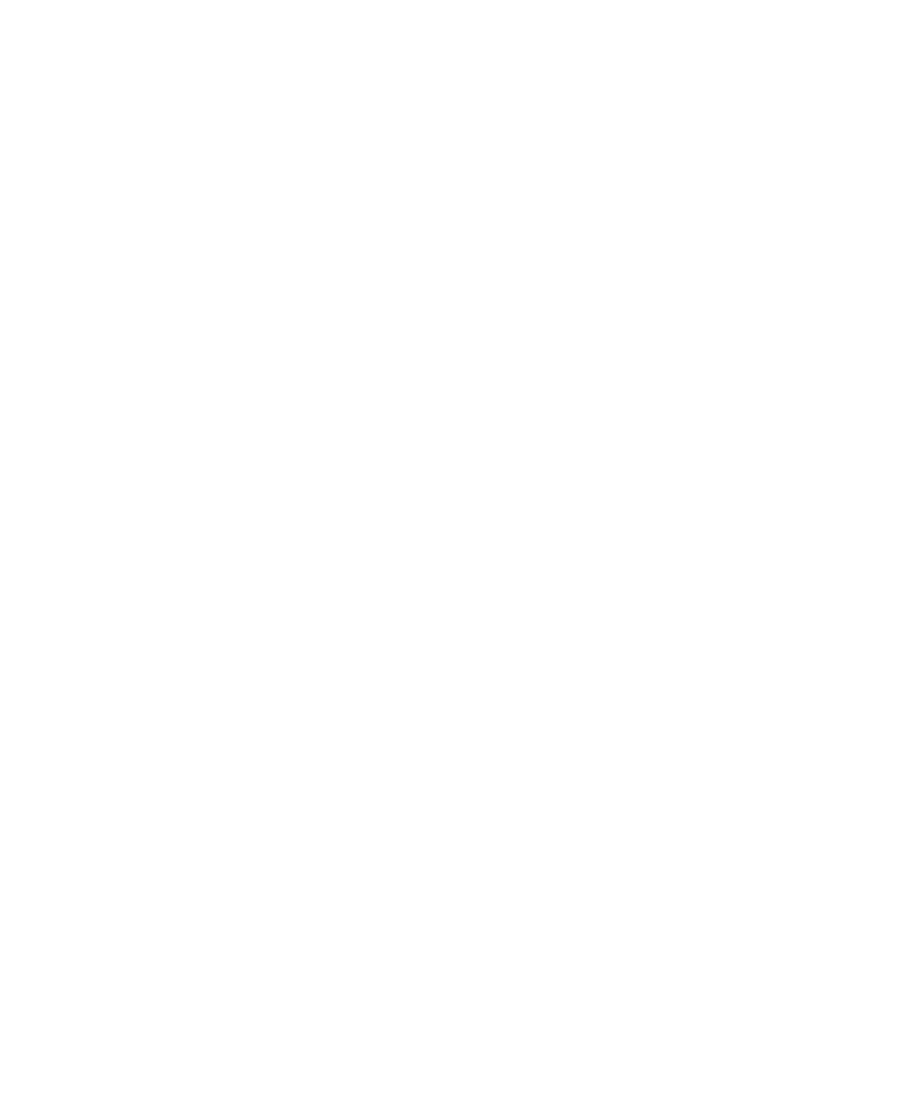 https://bfymca.org/sites/default/files/revslider/image/Y-Logo-175_v_wht_rgb.png
