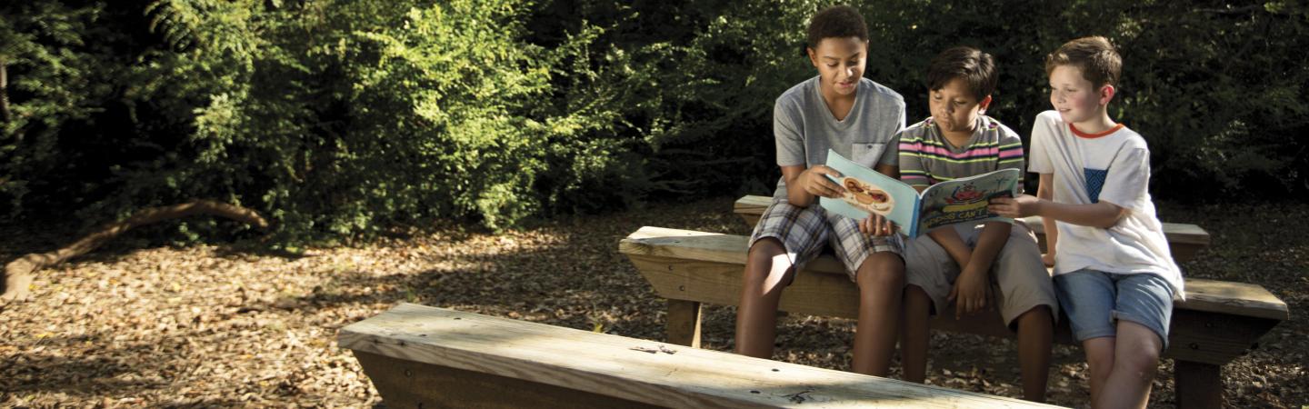 Summer Day Camp Berkshire Family Ymca